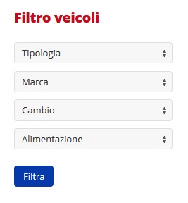 Sito web personalizzato per concessionario o autosalone - Filtro Veicoli